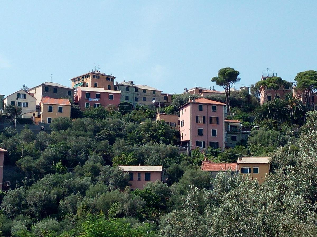 Villino "Il Rustichetto" Villa Genova Eksteriør billede